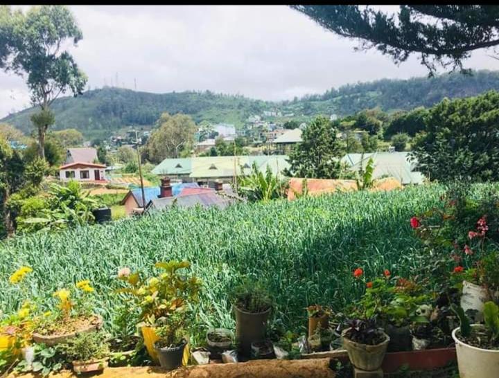 Green Cottage Guest house *