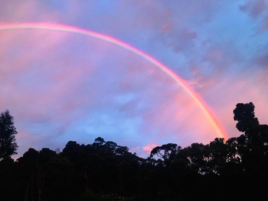 Green Cottage * Nuwara Eliya