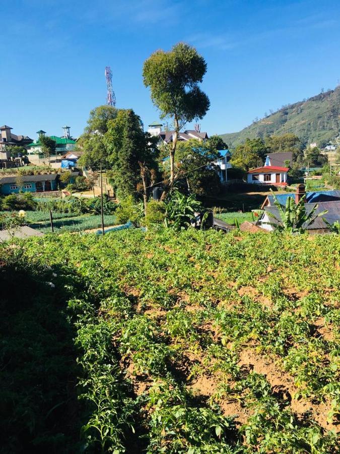 Guest house Green Cottage