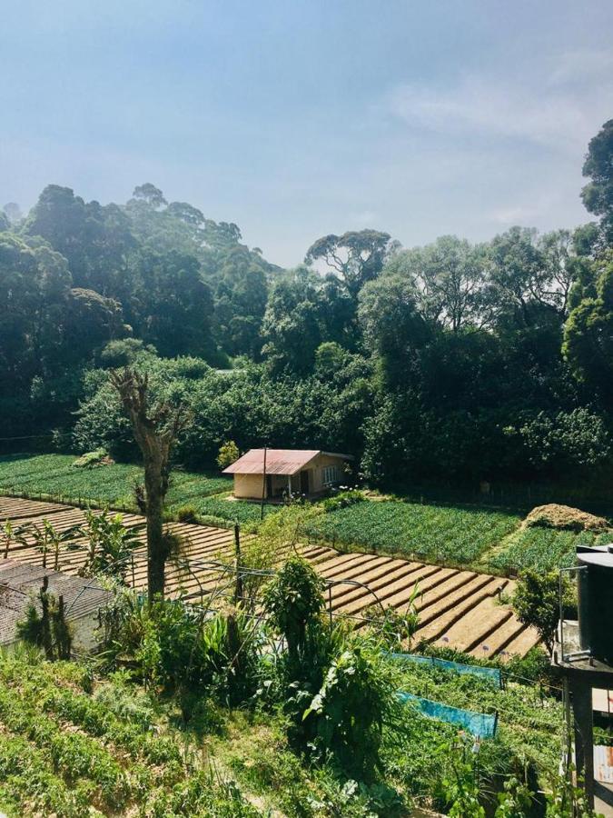 Guest house Green Cottage