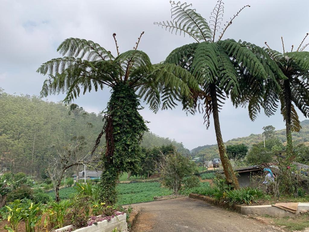 Acme Divine View * Nuwara Eliya