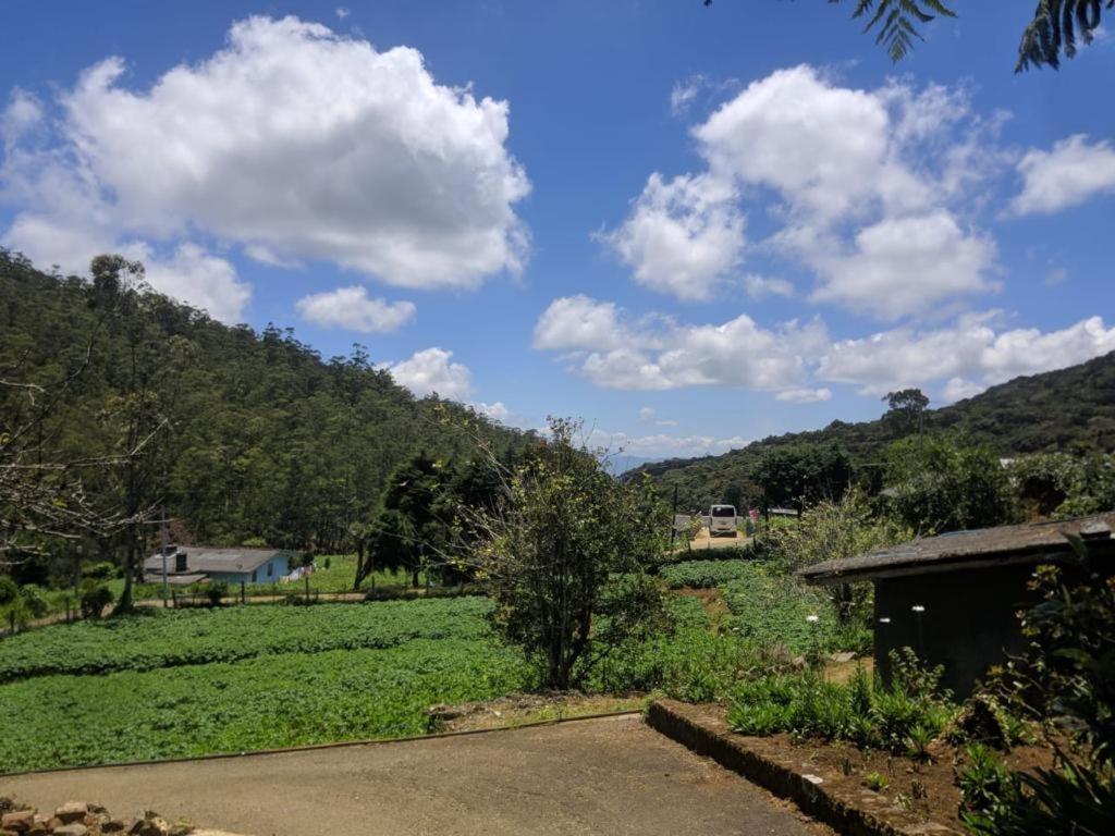 Acme Divine View *