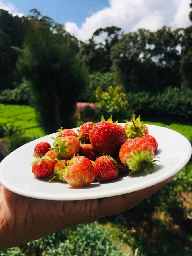 Green Cottage Guest house *