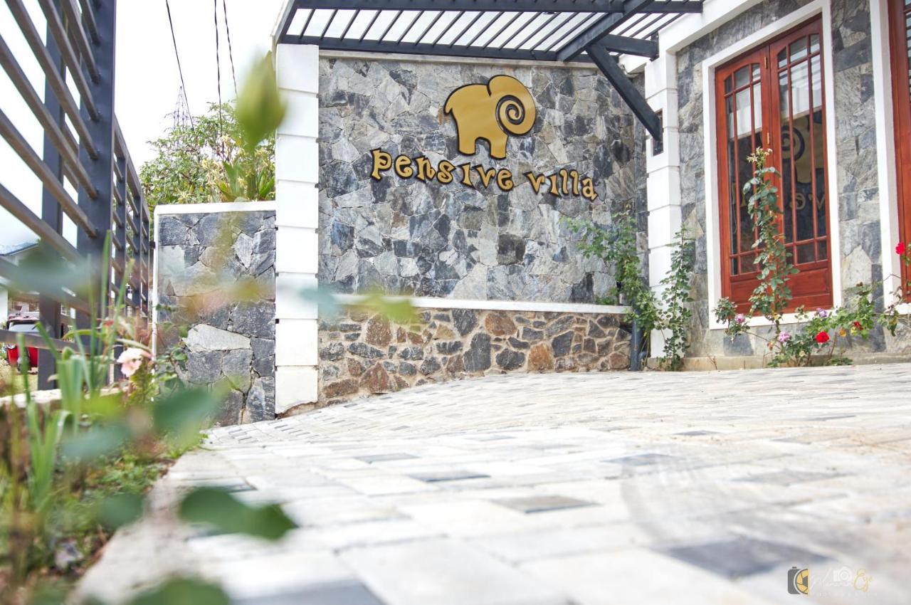 Hotel Pensive 3*