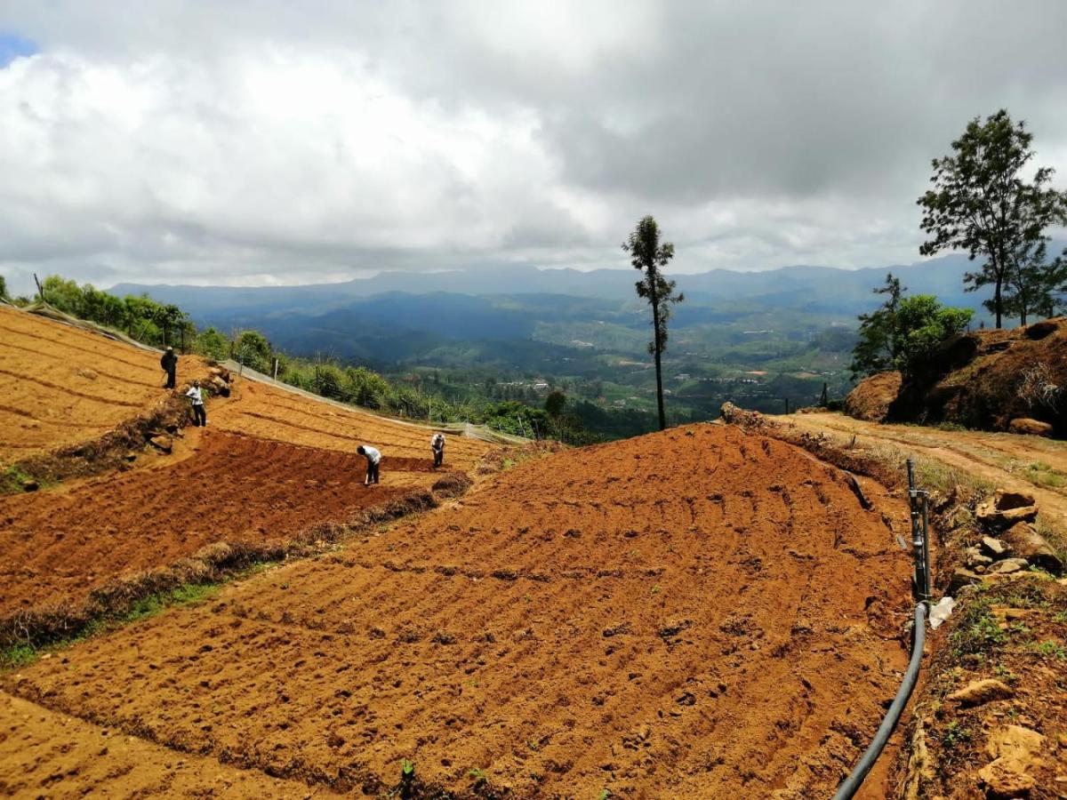 Unique View Nuwaraeliya Guest house *