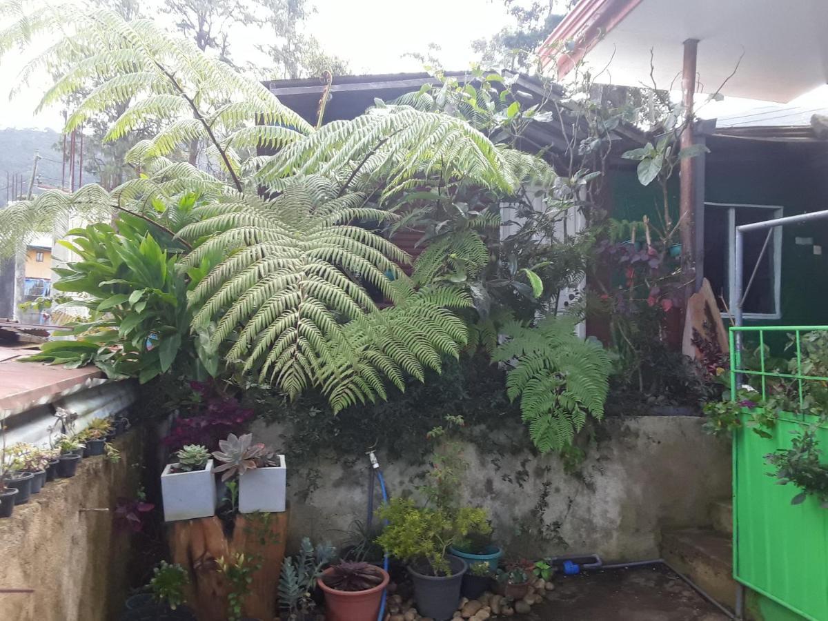 20/20 Wood Homestay Nuwara Eliya