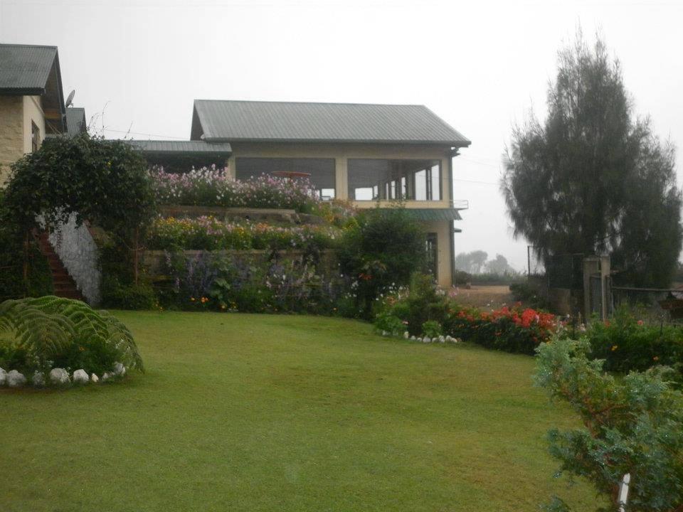 Hotel Tea Bush