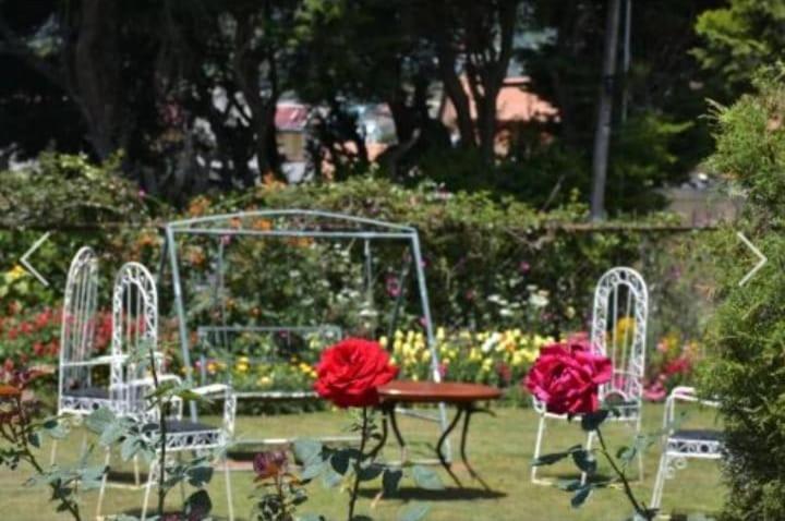 Princess Guest house