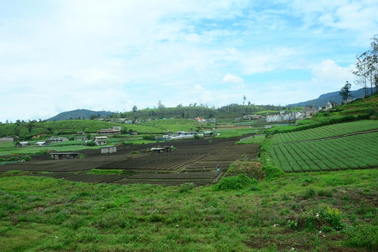 Moon Plains Resort