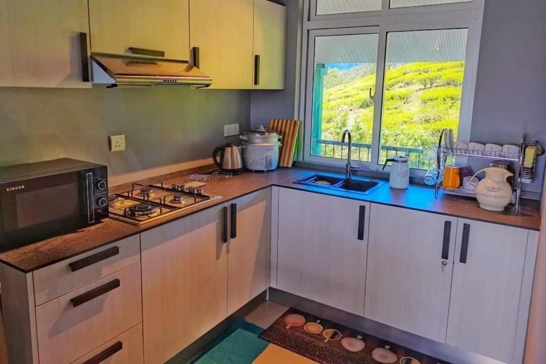 Lakeville Apartment *