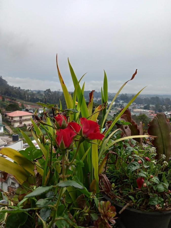 La Rose