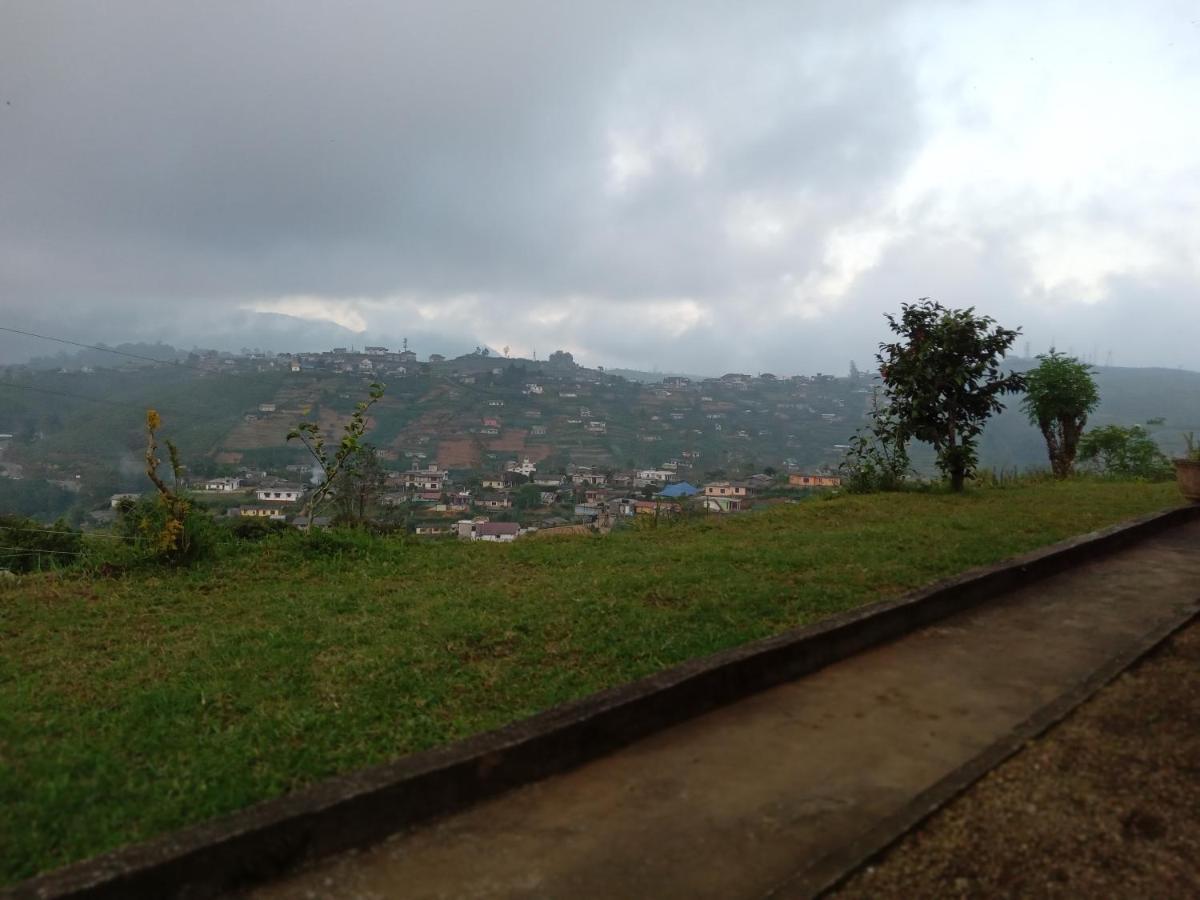 Mount View *