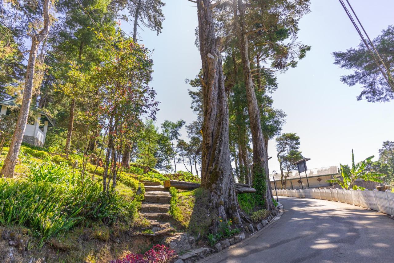 Mirage Kings Nuwara Eliya