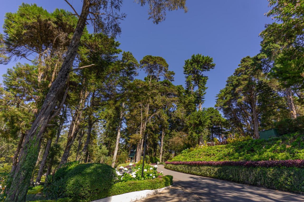 Mirage Kings 4* Nuwara Eliya