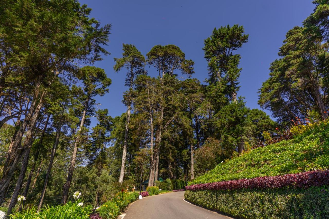Hotel Mirage Kings Nuwara Eliya