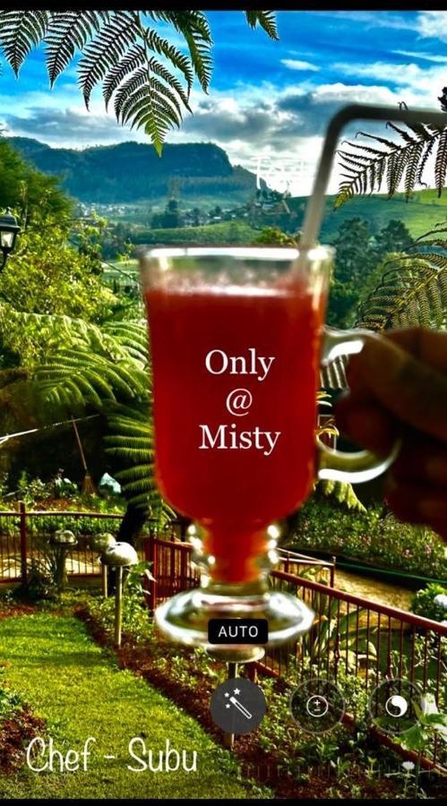 Misty Paradise Of Gregory *