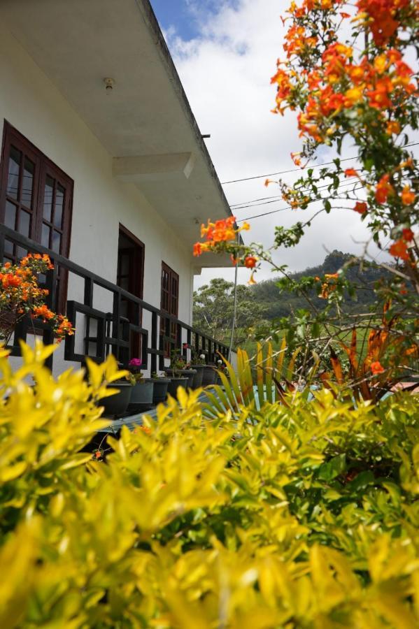 The Train View Bed & Breakfast 3*