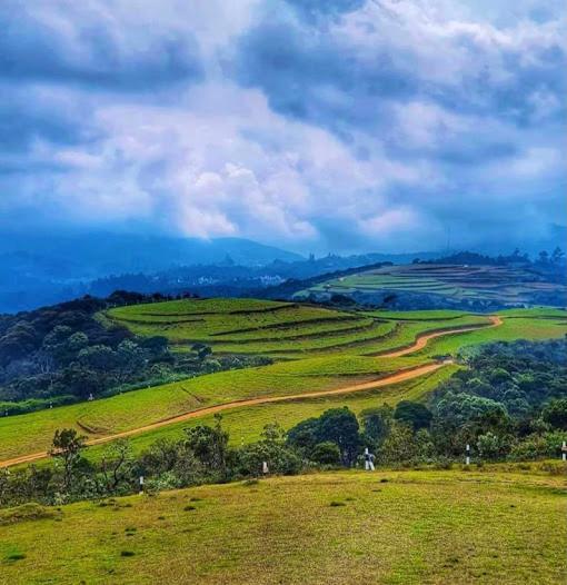 Windshire 4* Nuwara Eliya