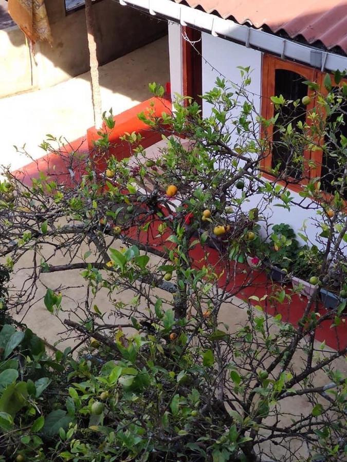 Paul Wood Cabana Guest house Nuwara Eliya