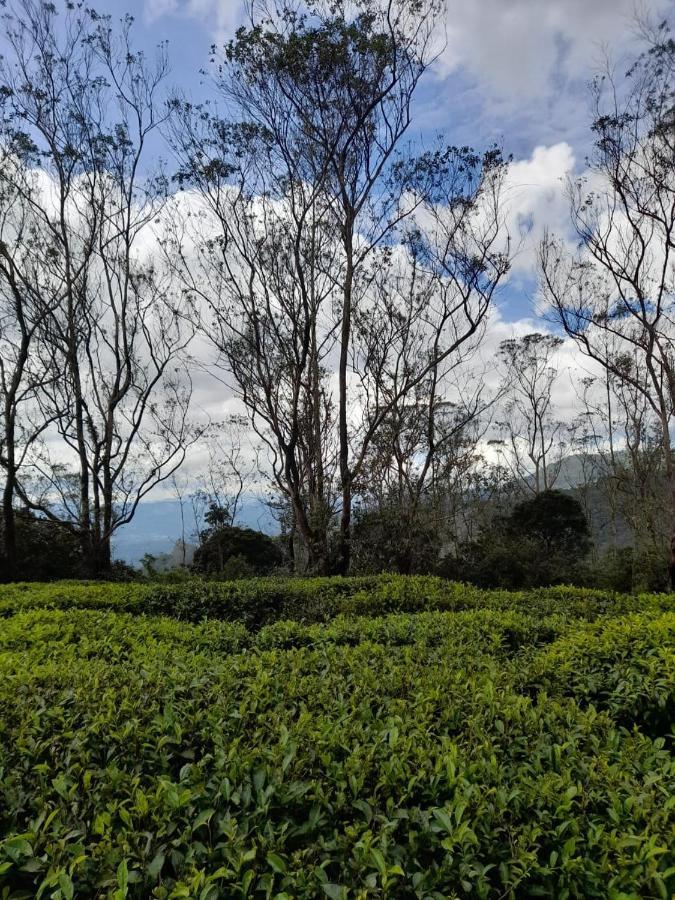 Clitoria Hotel Nuwara Eliya