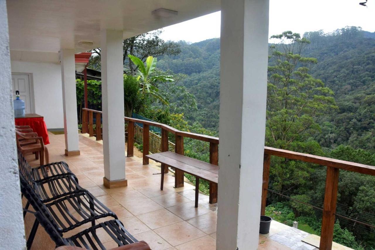 Forest View Hotel