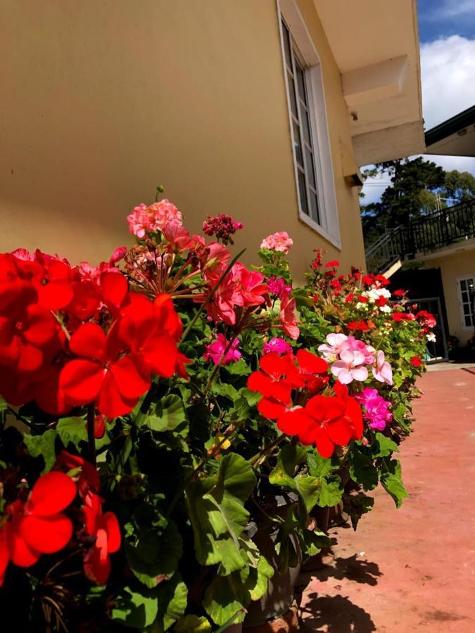 Guest house Shevyhaws 3*