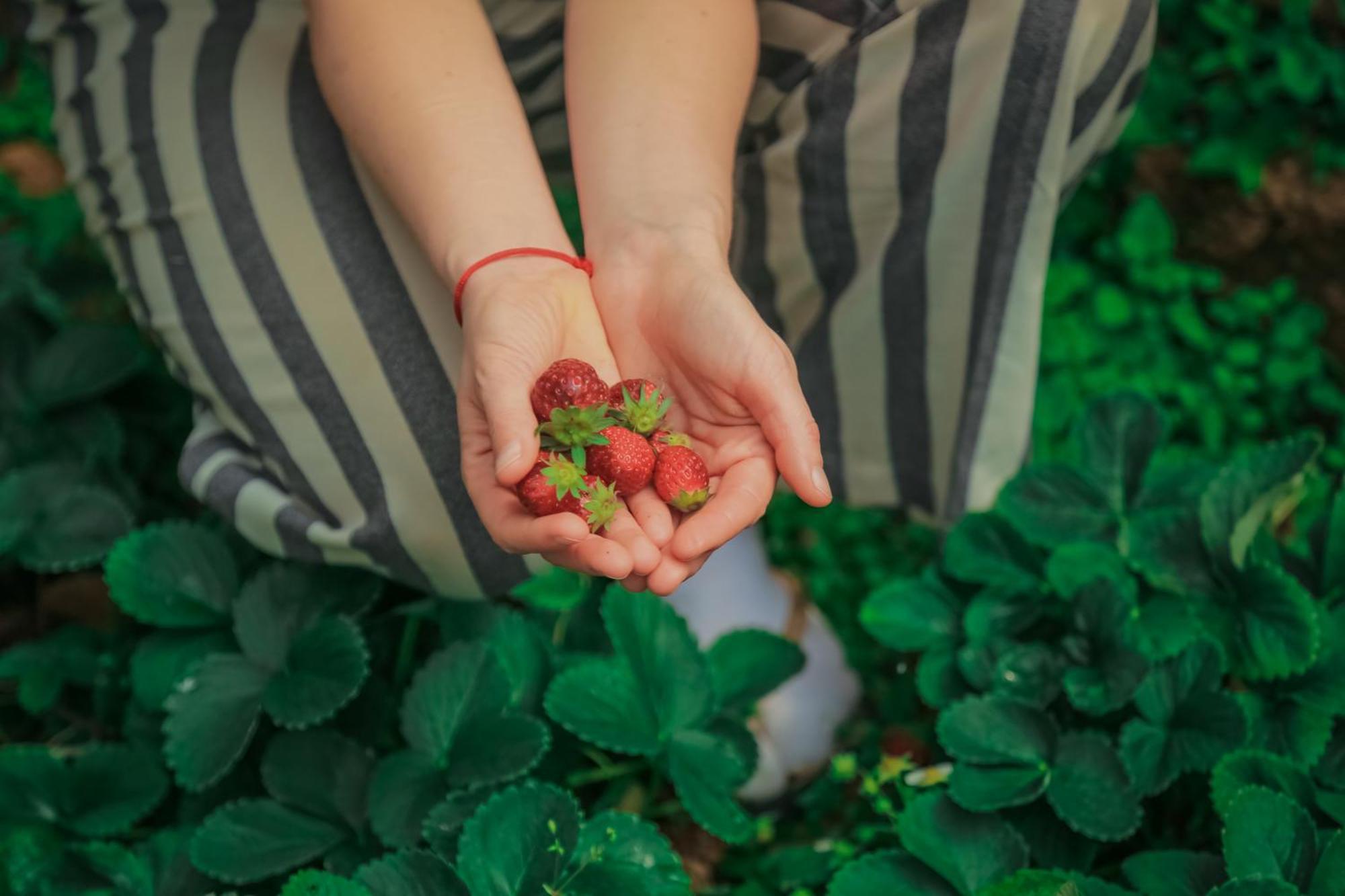 House Of Leisure Hotel 2*