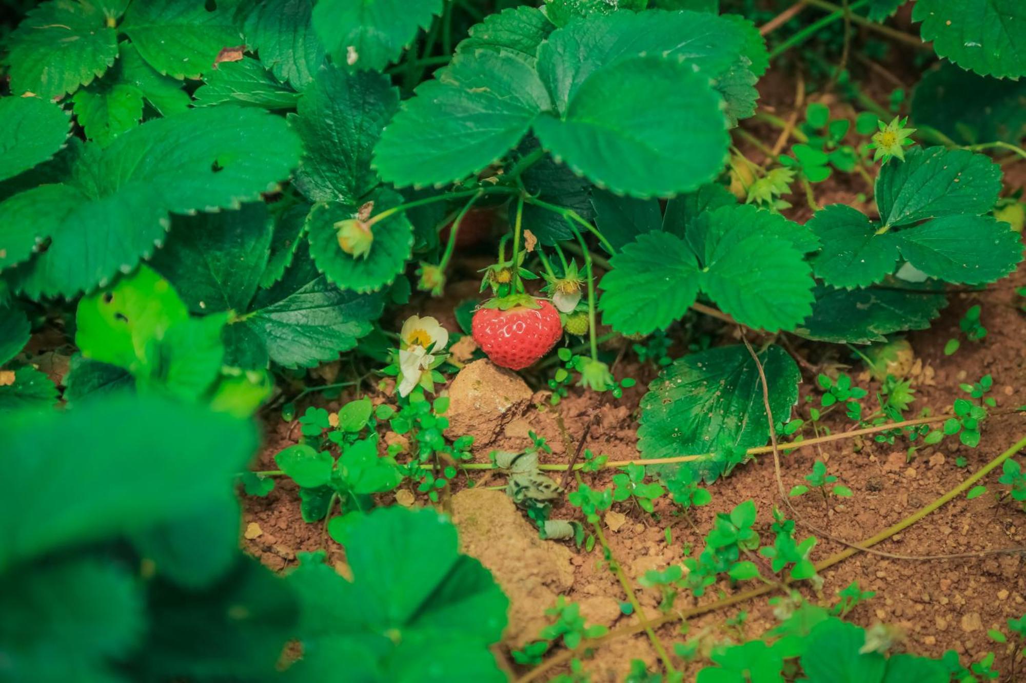 House Of Leisure Hotel