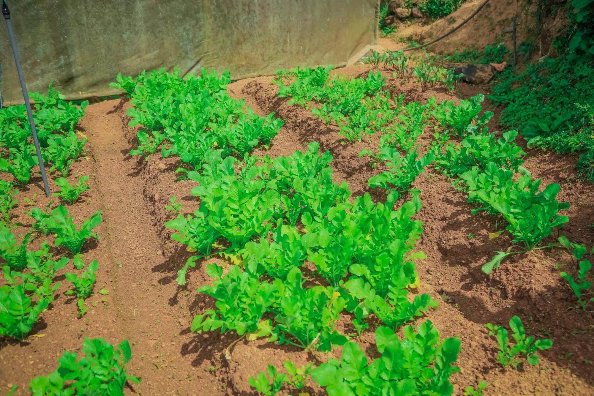 Hotel House Of Leisure Nuwara Eliya