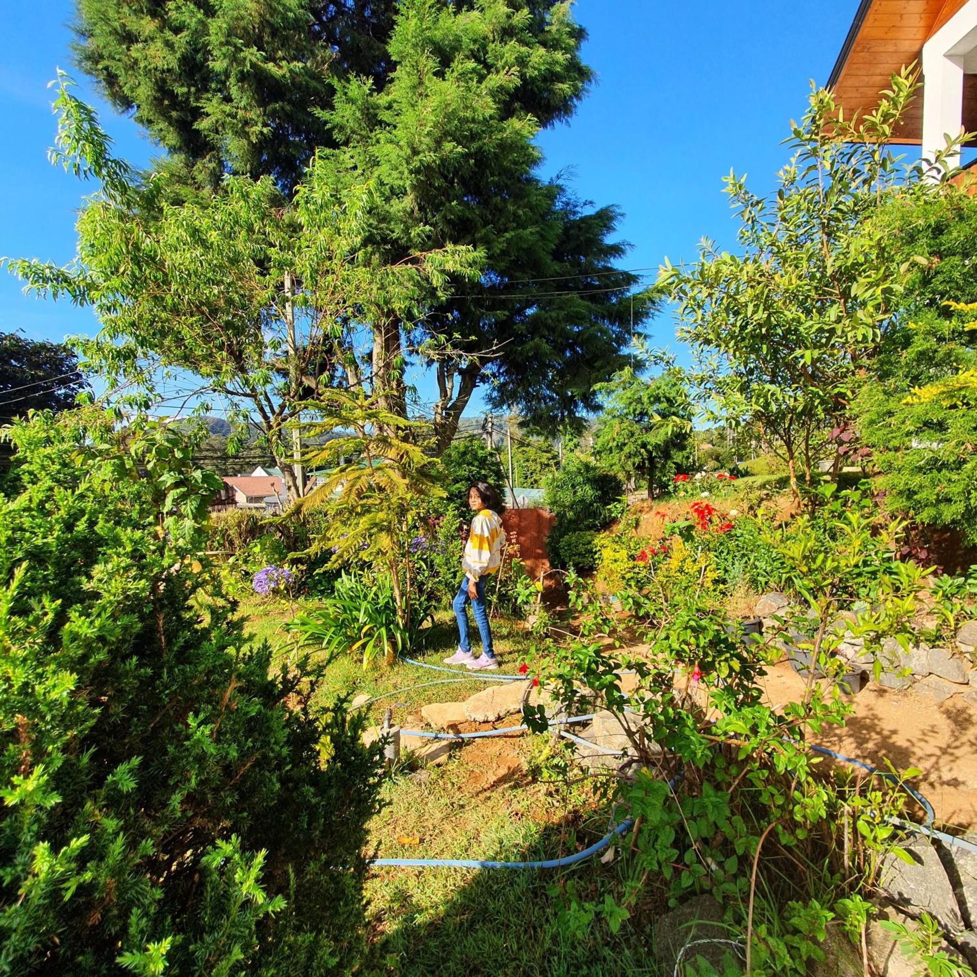 Shalom Homestay