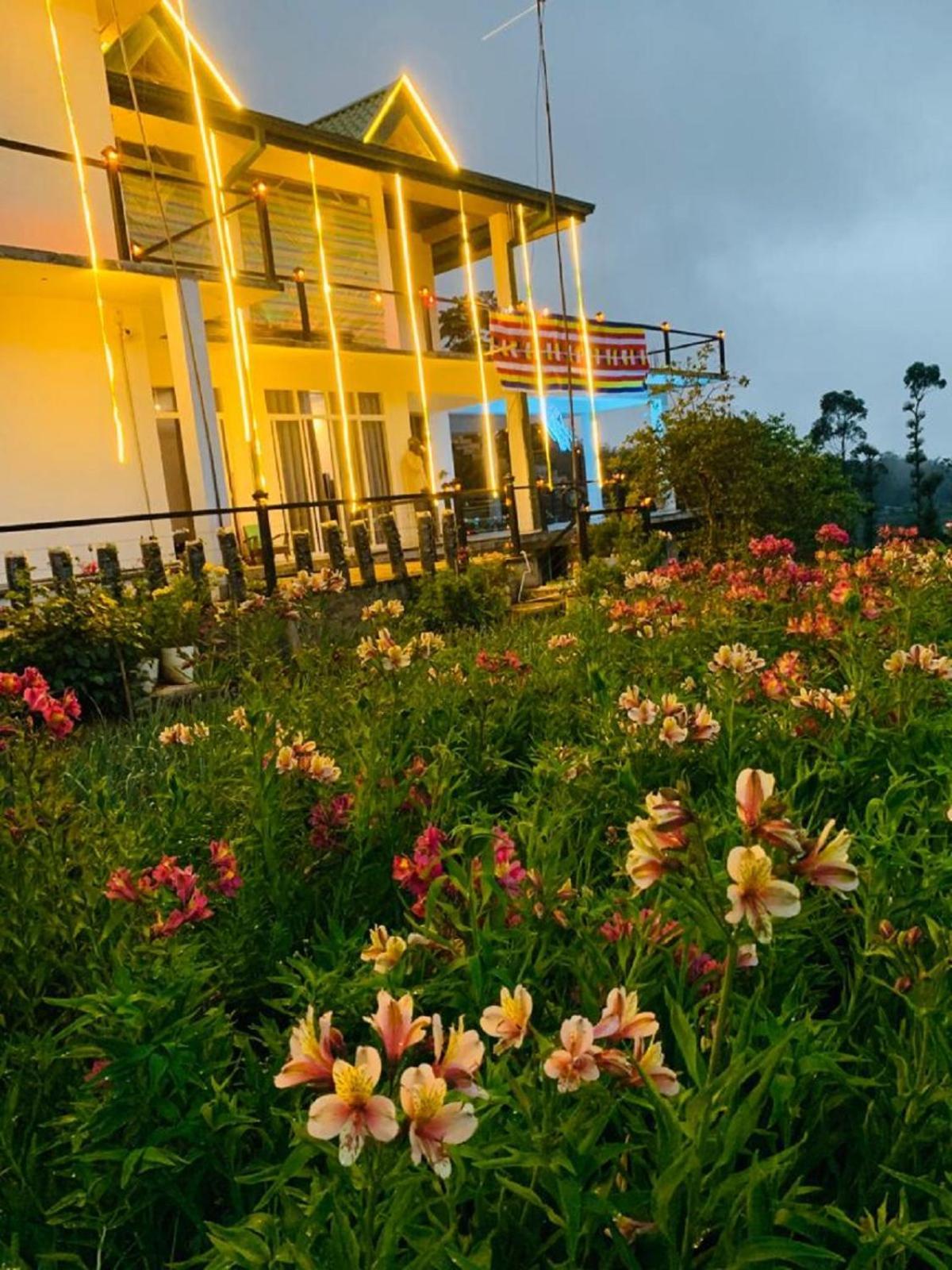 Venus * Nuwara Eliya