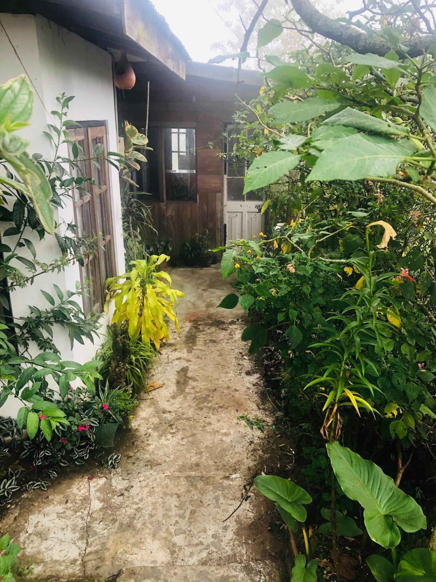 Homestay And Nuwara Eliya
