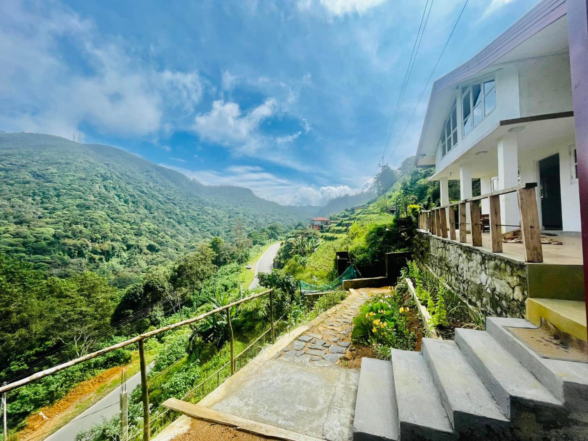 Forest View Hotel