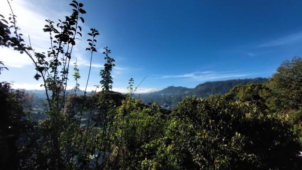 B&B Nuwara Eliya 2* Nuwara Eliya