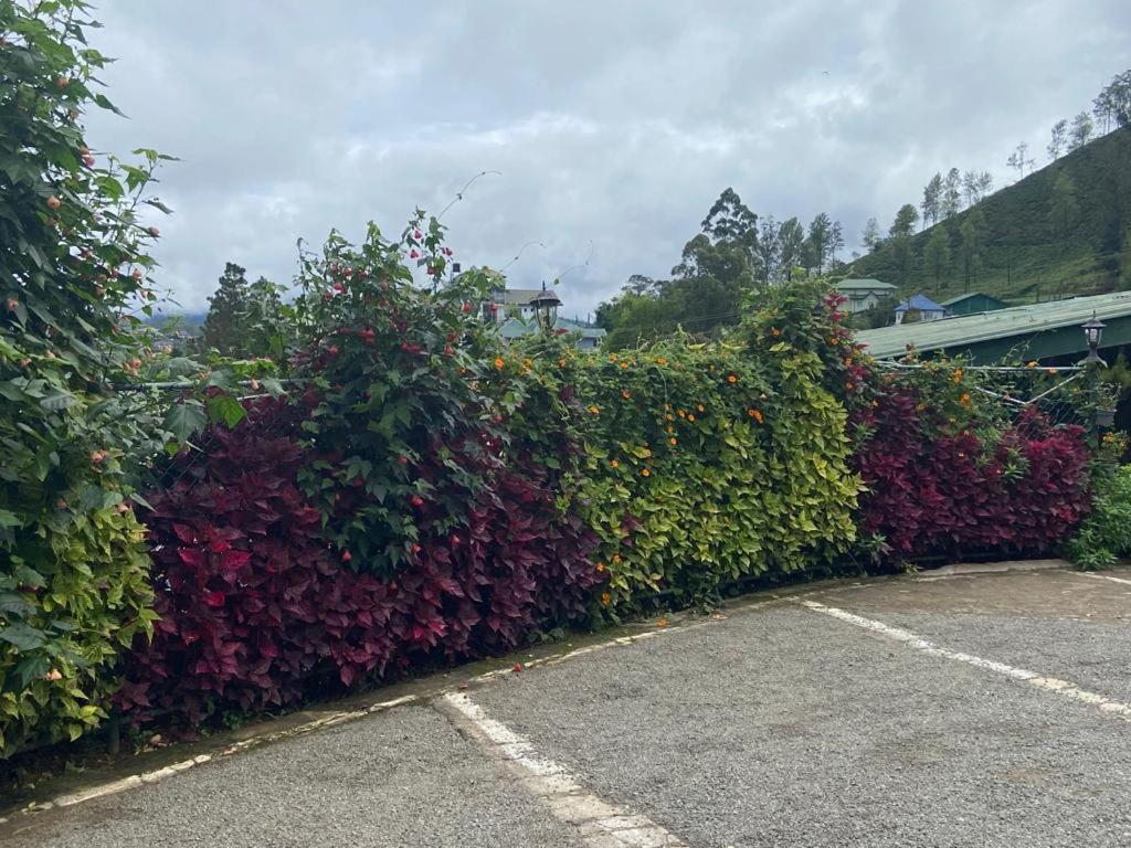 Happy Trust Happy * Nuwara Eliya
