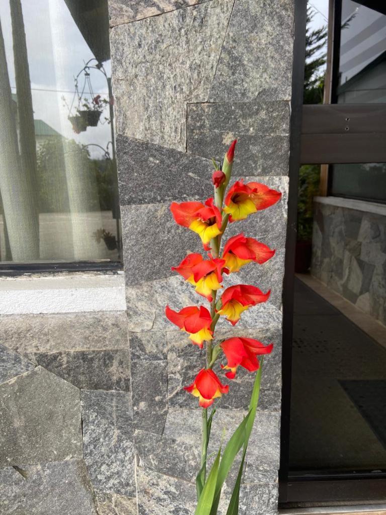 Guest house Happy Trust Happy