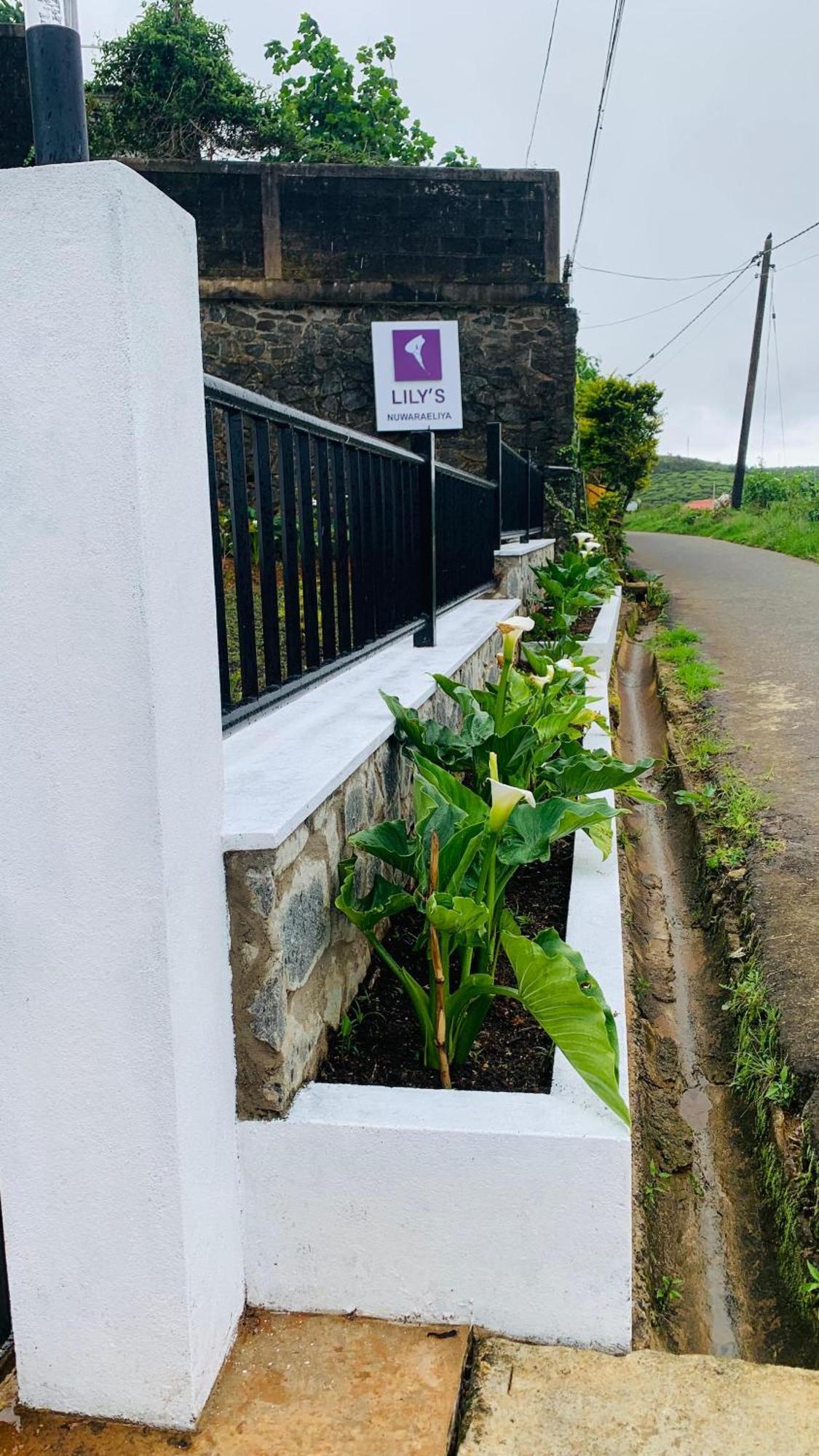 Lilys Nuwaraeliya Hotel