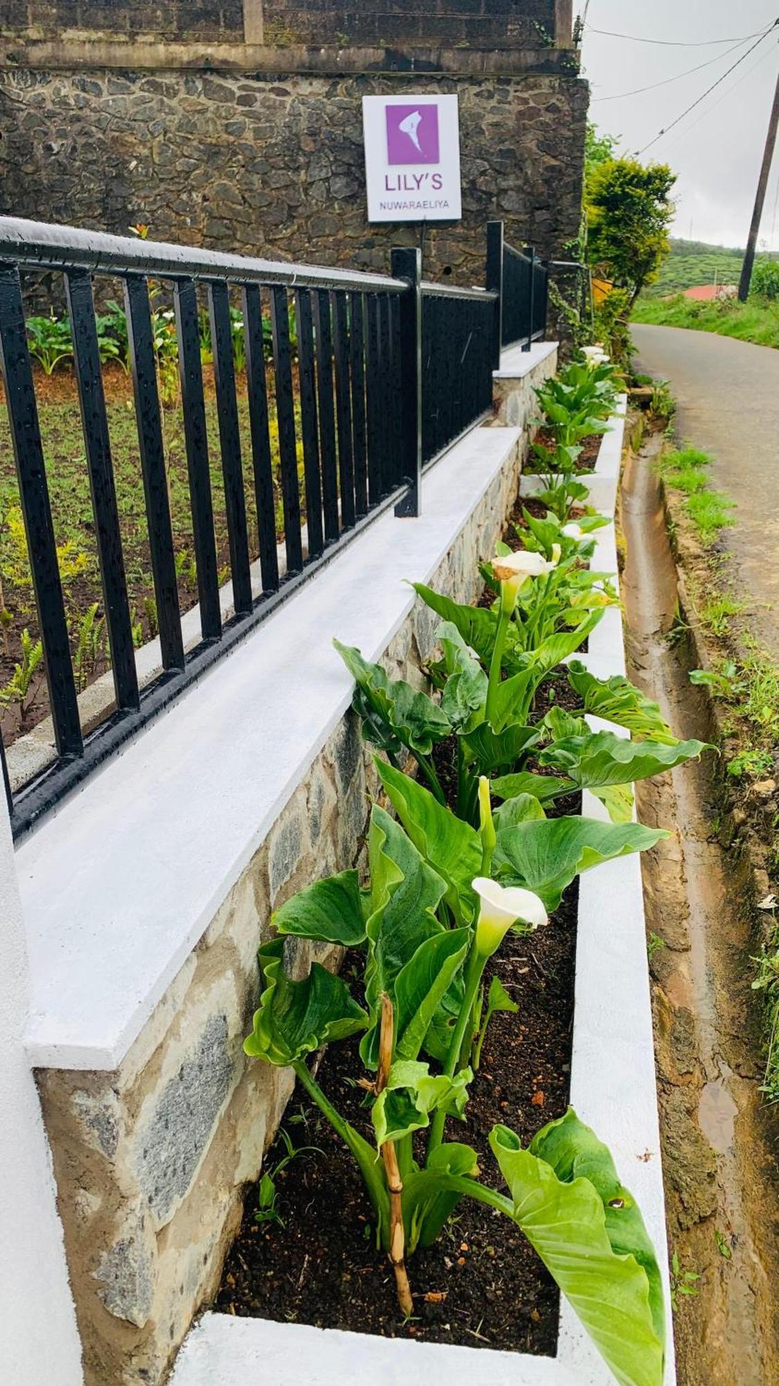 Lilys Nuwaraeliya Hotel Nuwara Eliya