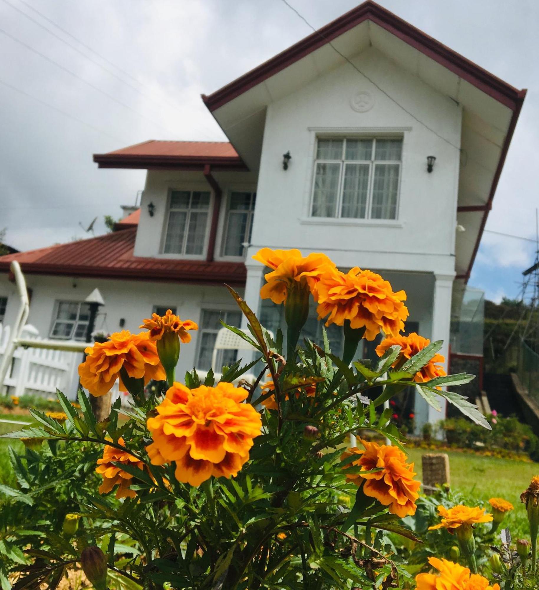 Thuring's * Nuwara Eliya