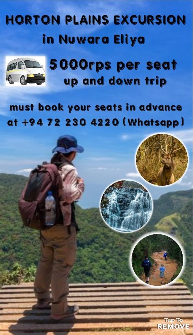 Hotel Panorama View 3*