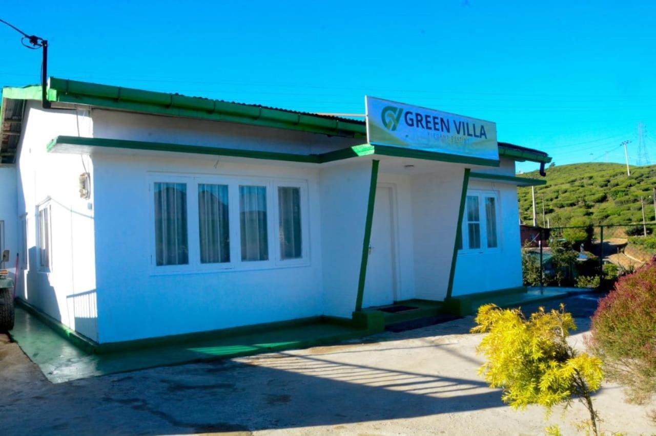 Guest house Green