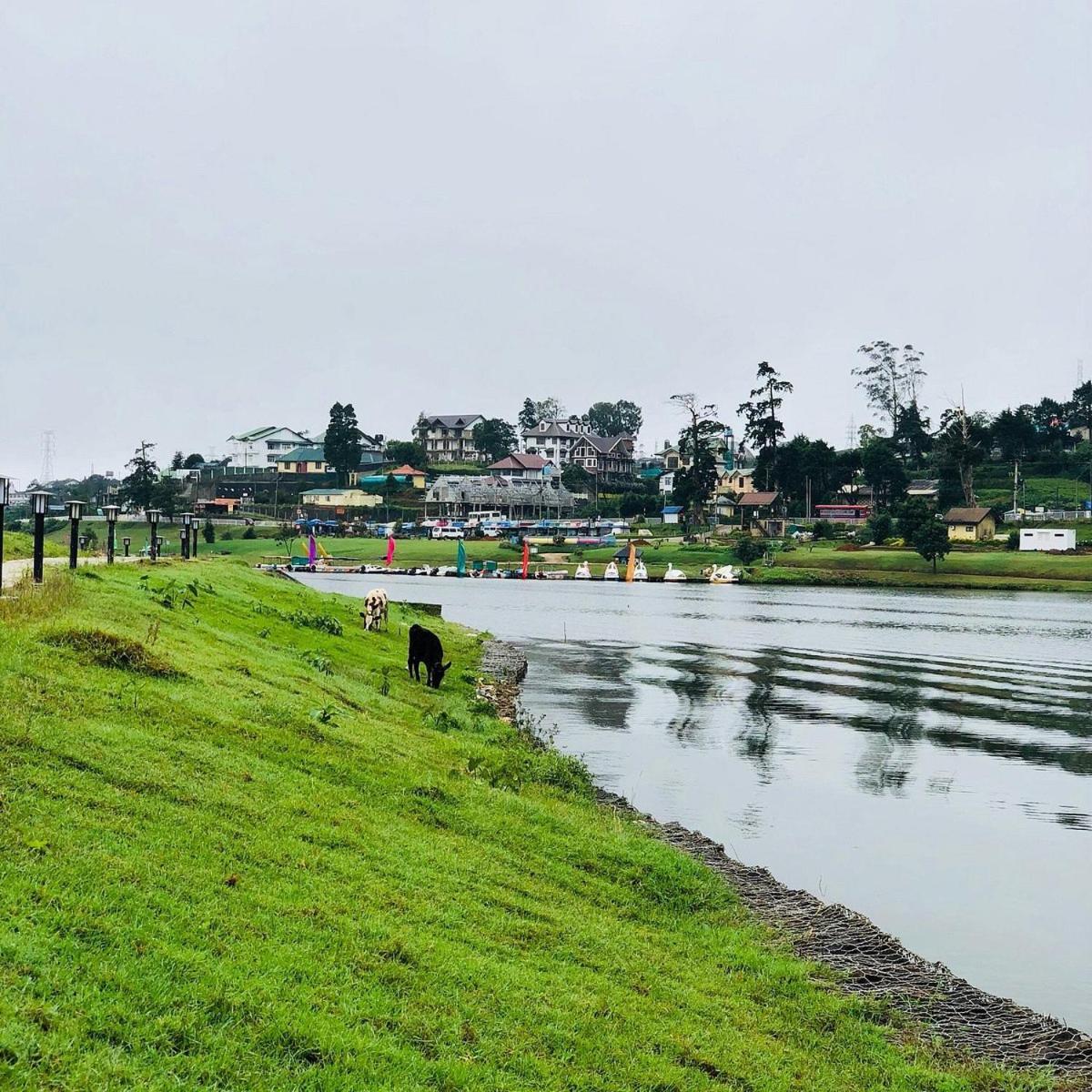 Royal Pearl Hills Hotel