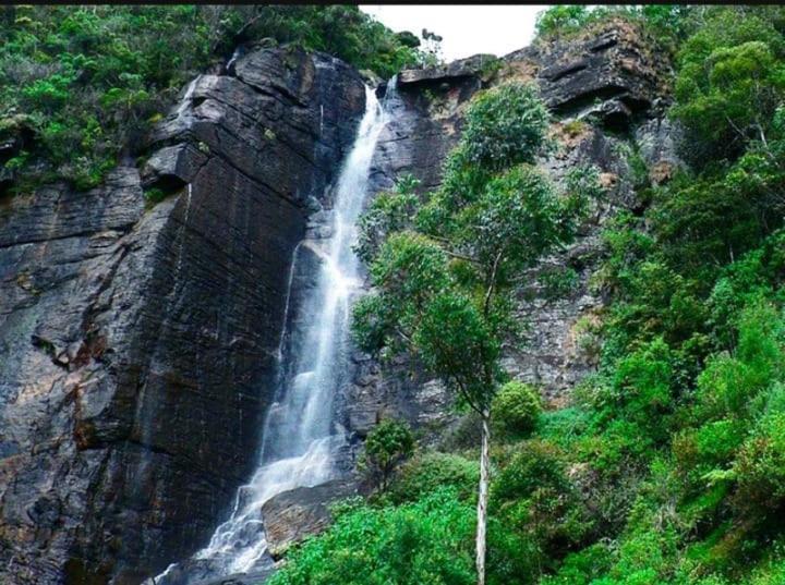 Shevyhaws 3* Nuwara Eliya