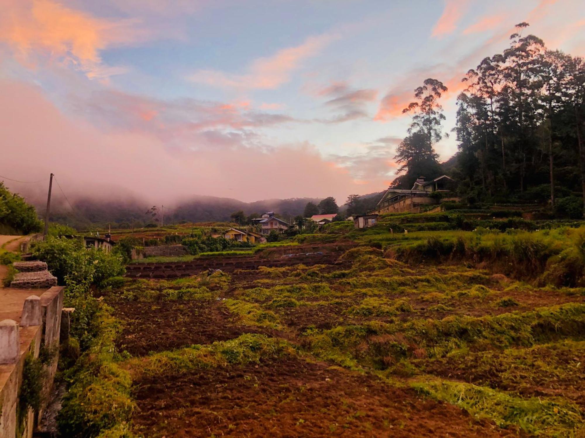 The Eliya Holiday Bungalow