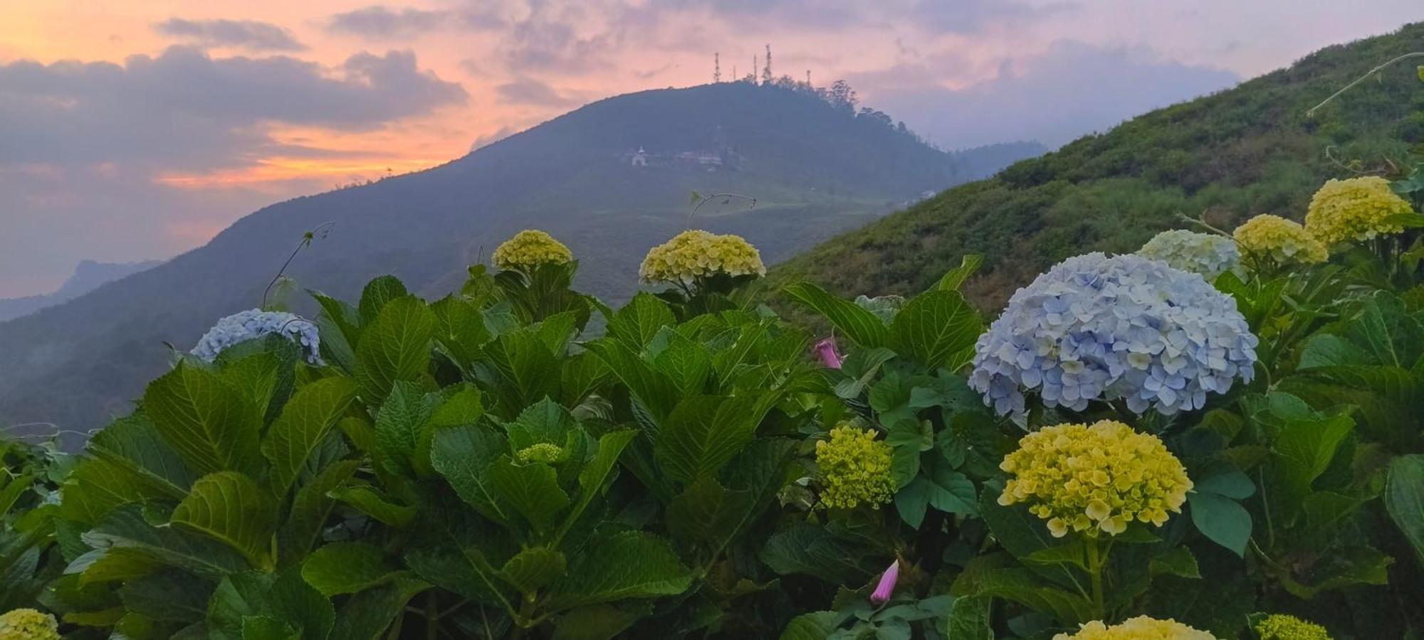 Hikers Holiday home Nuwara Eliya