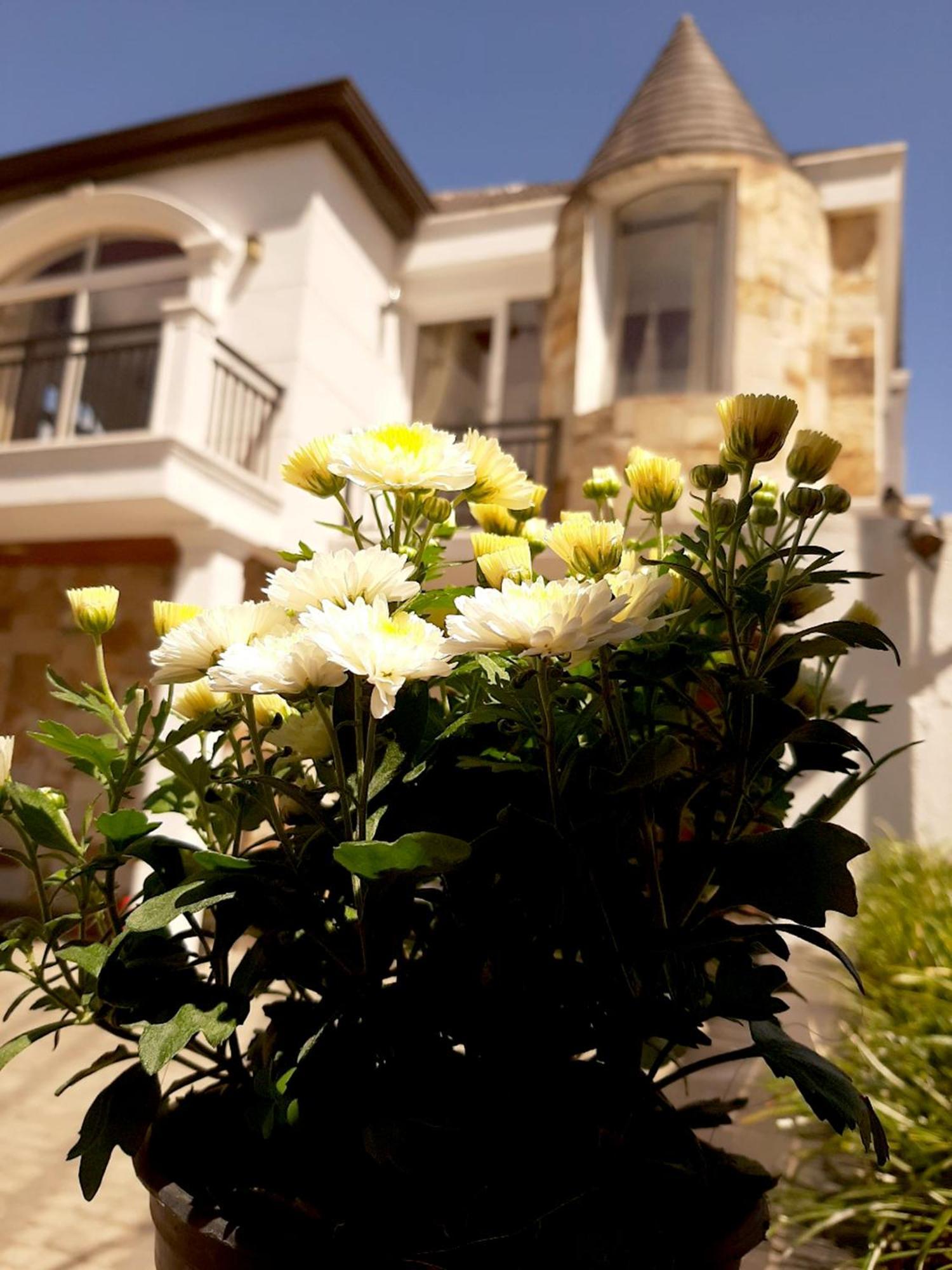 Guest house Sky Heaven Nuwaraeliya Nuwara Eliya