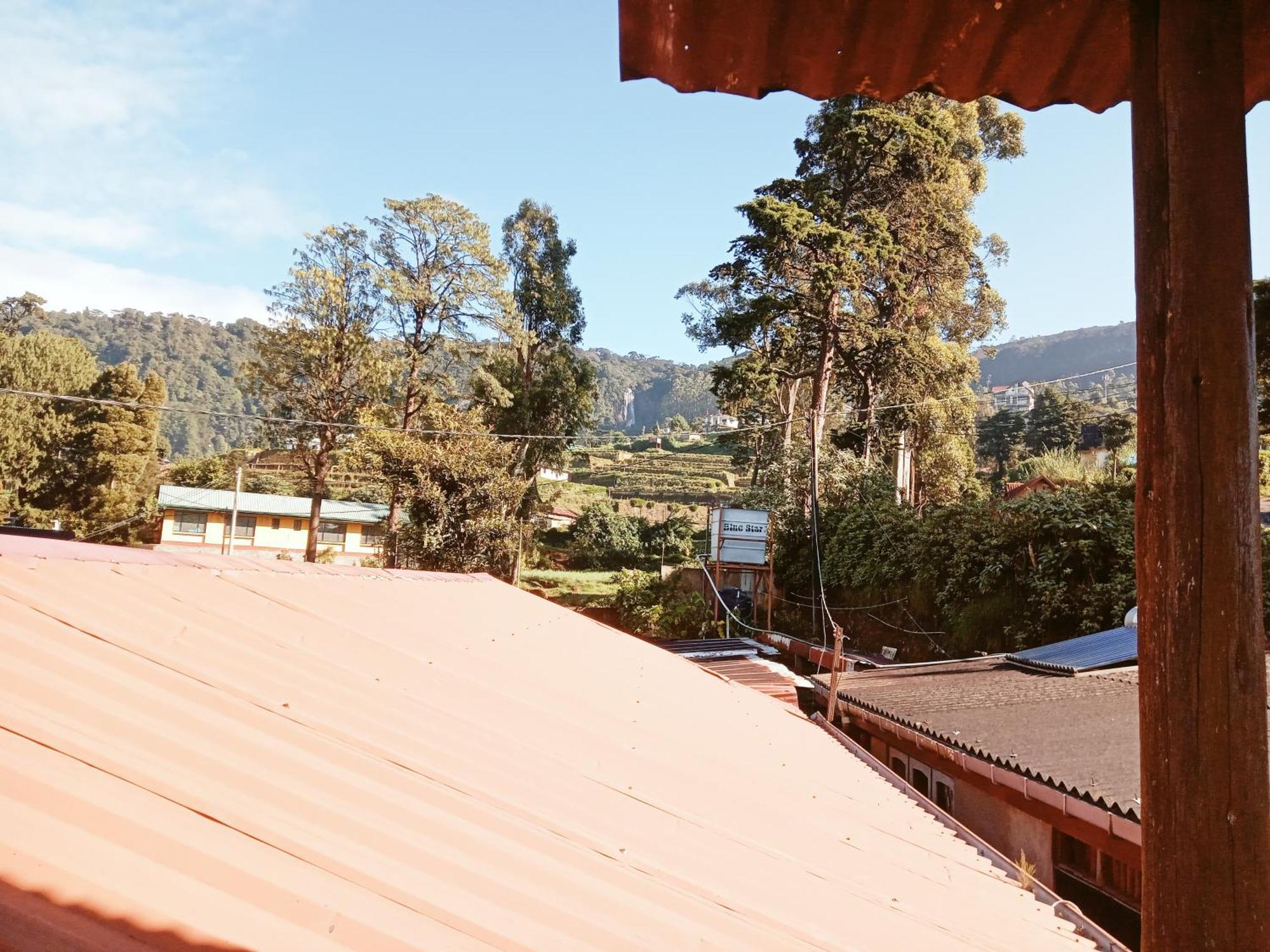 20/20 Wood Nuwara Eliya