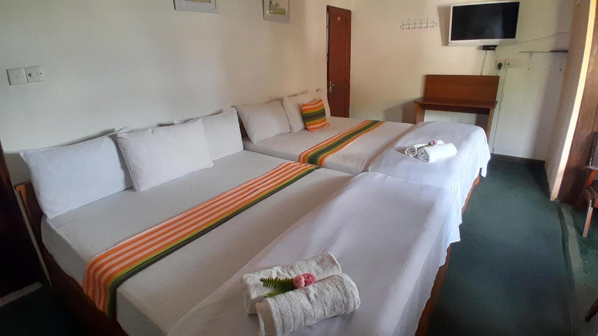 Eco Creations Nuwaraeliya Nuwara Eliya