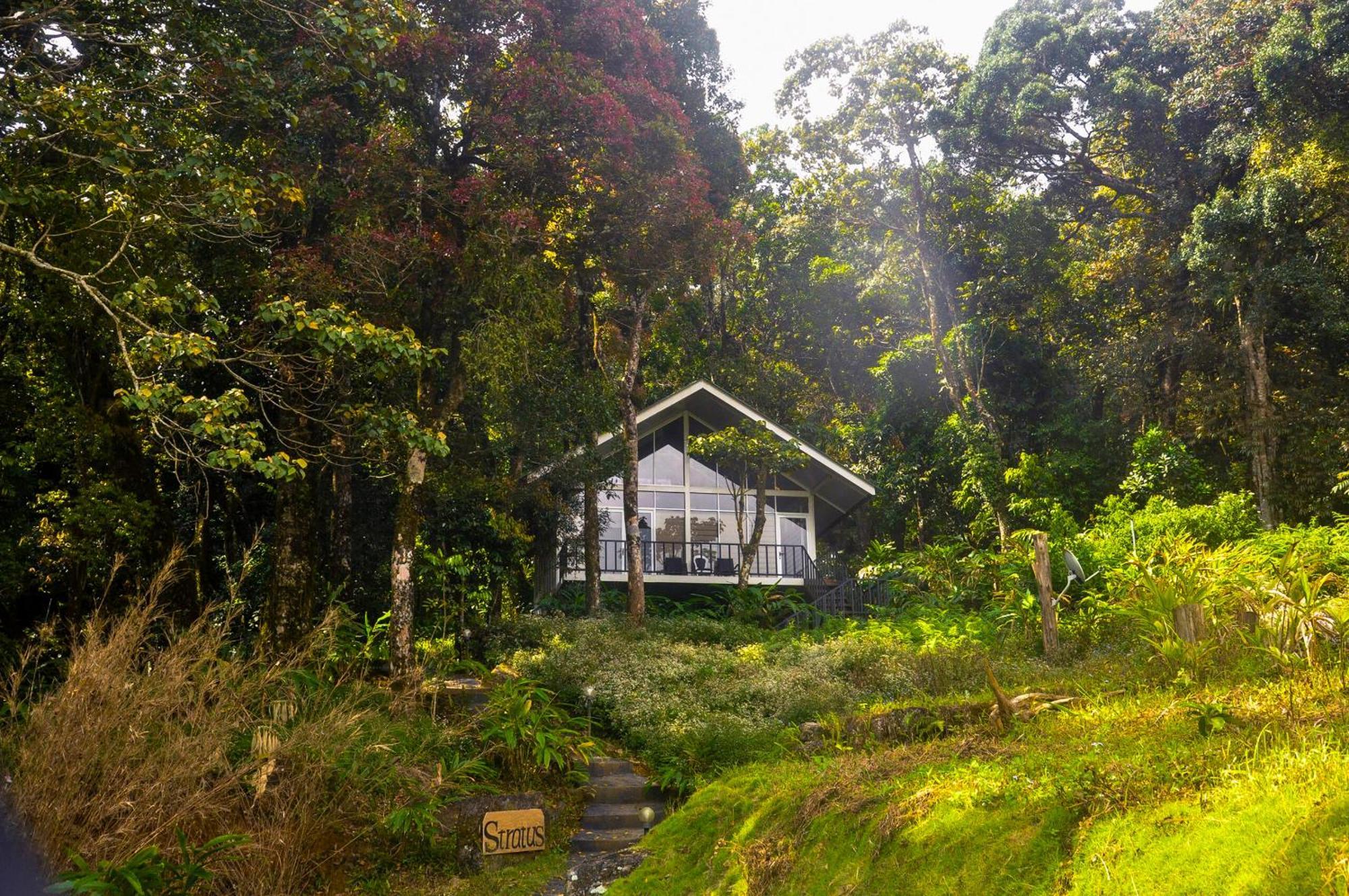 Mandaram Eco 3* Nuwara Eliya