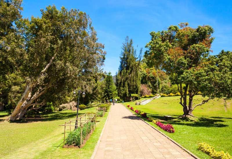 Mount View Two Bed Nuwara Eliya
